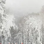 아파트 Haus Annemiek Met Balkon 빈터베르크