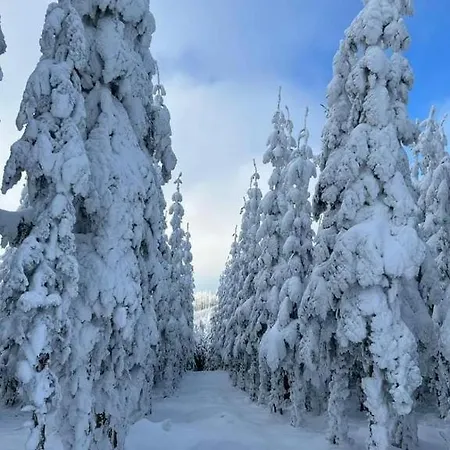 Apartment Haus Annemiek Met Balkon *