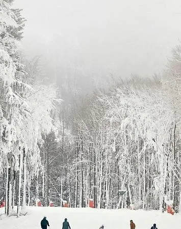 Lejlighed Haus Annemiek Met Balkon Winterberg