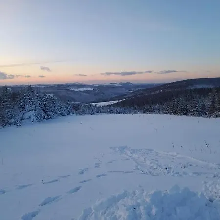 Lejlighed Haus Annemiek Met Balkon *