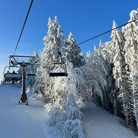 Apartment Haus Annemiek Met Balkon Winterberg