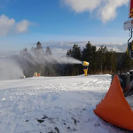 Haus Annemiek Met Balkon * Winterberg