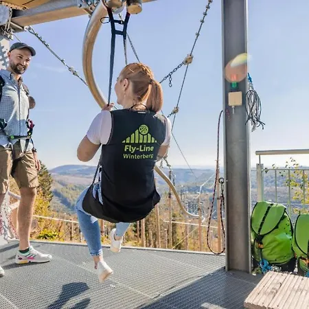 Haus Annemiek Met Balkon Lejlighed Winterberg