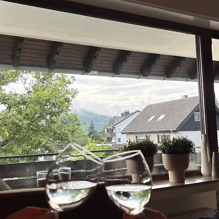 Haus Annemiek Met Balkon Appartement *