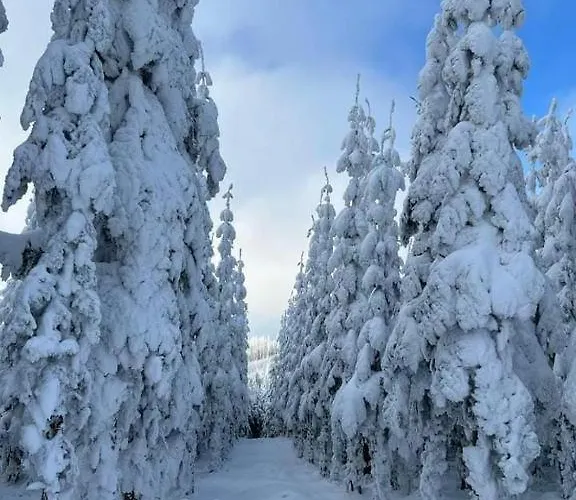 شقة Haus Annemiek Met Balkon *