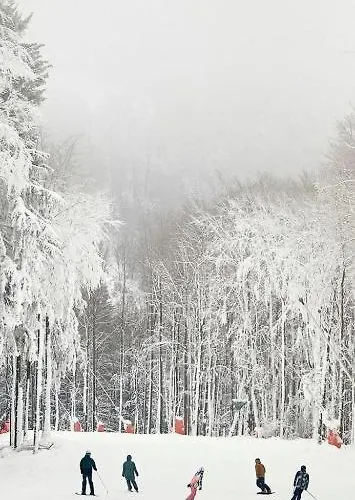 Lägenhet Haus Annemiek Met Balkon Winterberg