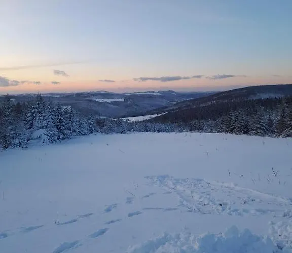 Lägenhet Haus Annemiek Met Balkon *