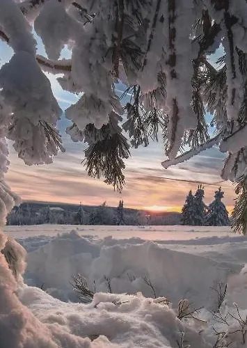 Haus Annemiek Met Balkon