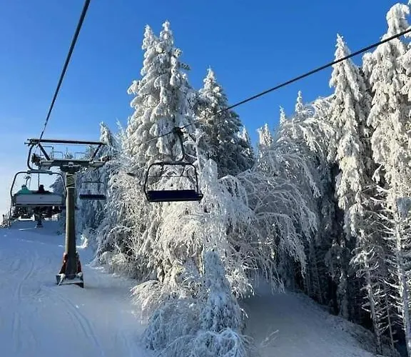 Lägenhet Haus Annemiek Met Balkon Winterberg